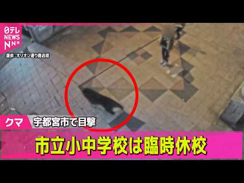 【クマ出没】クマ目撃相次ぐ宇都宮市、市立の全小中学校が休校　けさも中学校近くに ──社会ニュースライブ（日テレNEWS… サムネイル