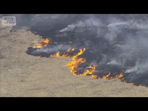 栃木県や埼玉県などにまたがる渡良瀬遊水地で火事　広い範囲で黒煙(2026年2月27日) サムネイル