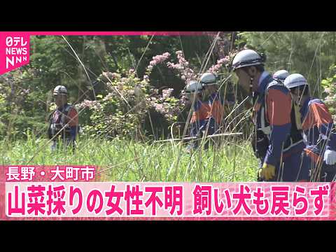 【長野・大町市】山菜採りに向かった女性（58）が行方不明  飼い犬も戻らず サムネイル