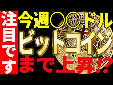 🚀ビットコイン今週○○ドルまで上昇⁉🚀注目ポイントを最新チャートで徹底解説！【仮想通貨】 サムネイル
