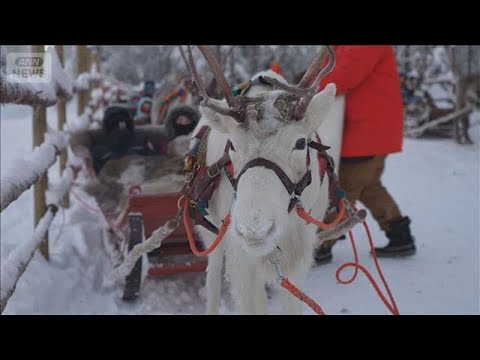 サンタ故郷のトナカイ危機　ウクライナ戦争余波　ロシア猟師徴兵でオオカミ越境(2025年12月24日) サムネイル
