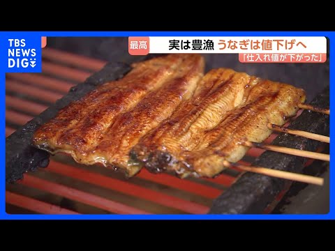 「うなぎは今が一番おすすめ」値下げする店が増加中！　豊漁で卸価格が昨年比25％減｜TBS NEWS DIG サムネイル