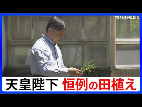 【天皇陛下が田植え】毎年恒例　皇居内の水田で苗を1株ずつ丁寧に植えられる【ノーカット】｜TBS NEWS DIG サムネイル