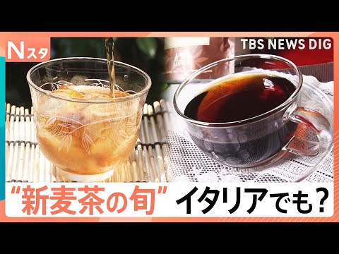 “新麦茶”の季節！麦茶工場では大麦焙煎・麦農家は収穫前の最後のチェックに大忙し 「幻の麦茶」「イタリアの麦茶」も｜TB… サムネイル