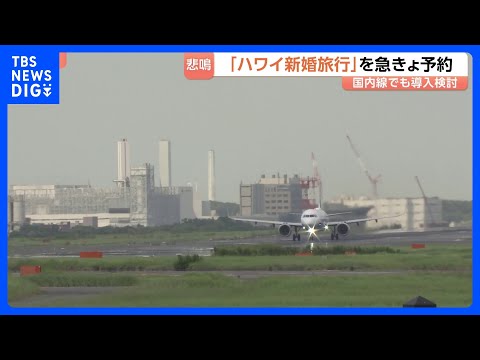 きょうから国際線の燃油サーチャージが最大2倍に 「あすから上がるよって」新婚旅行を駆け込み予約　海外旅行を控える動きも… サムネイル