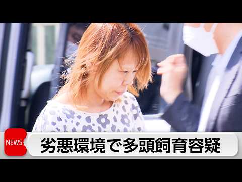 動物愛護法違反の疑いで動物愛護団体代表の女を逮捕 サムネイル