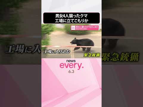 【クマ】男女4人襲い工場に立てこもりか  周辺の学校は休校に…影響広がる  福島市  shorts サムネイル