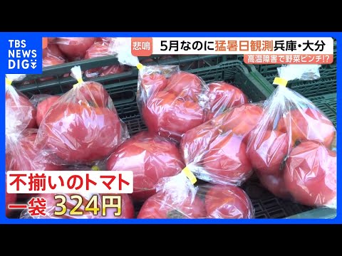 今シーズン初の猛暑日・大分県日田市と兵庫県豊岡市で35.3℃！暑さ前倒しで野菜が悲鳴 キャベツが茶色に…　そんな中、お… サムネイル