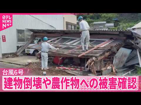 【台風6号】高知で建物倒壊など被害  倉庫の屋根落ちる  出荷前のナス“全て廃棄”も サムネイル