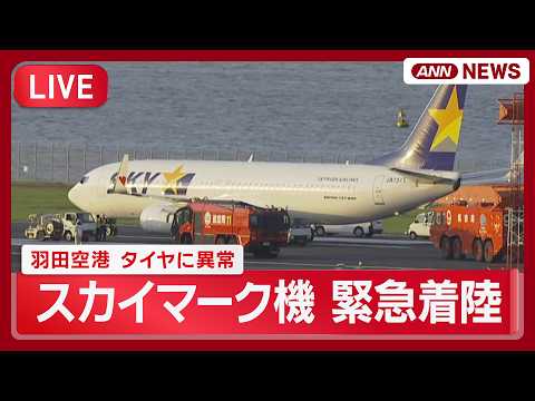 【リプレイ】スカイマーク機がタイヤに異常　緊急事態を発出し羽田空港に緊急着陸【LIVE】(2026年5月25日) AN… サムネイル