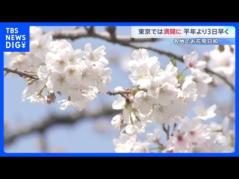 東京の桜が「満開」発表 平年より3日早く　きょうの都心は4月中旬並みの暖かさに｜TBS NEWS DIG