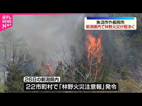 【新潟】魚沼市と長岡市で林野火災  県内22市町村で「林野火災注意報」発令 サムネイル