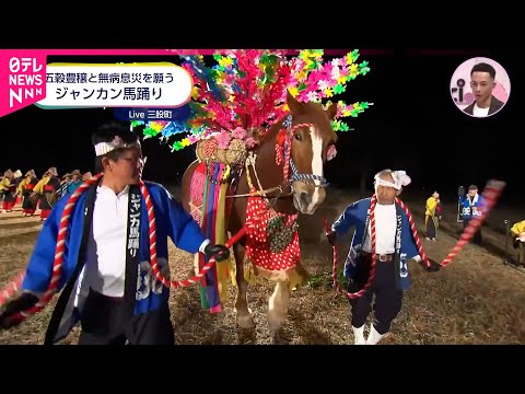 【馬が踊る!?】愛される"栗姫号"の"ジャンカン馬踊り"　宮崎　NNNセレクション