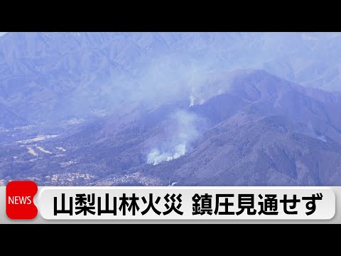 山梨・扇山の山林火災　発生から5日で焼損面積拡大 政府は情報連絡室を設置 サムネイル