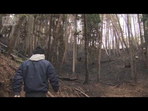 「早く日常生活に戻り仕事に取り組みたい」避難指示の大部分を解除　大槌町・山林火災【報道ステーション】(2026年4月2… サムネイル