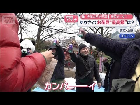あなたのお花見“最高額”は？　今年の平均予算↓街角メーター【スーパーJチャンネル】(2026年3月20日)