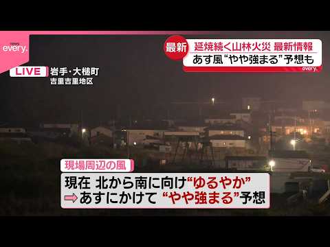 【中継】岩手･大槌町の2カ所で山林火災  あすにかけ風“やや強まる”予想も サムネイル