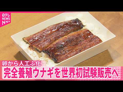 【ウナギ】卵から人工ふ化  完全養殖ウナギを世界初試験販売へ サムネイル