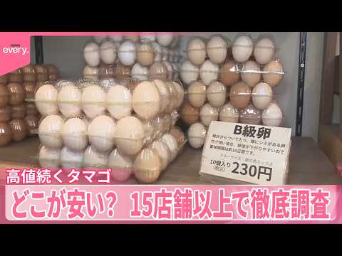 【高値続くタマゴ】安く買える“穴場”を発見  どこが安い？ 15店舗以上で徹底調査 サムネイル