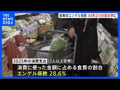 食費の割合を示す「エンゲル係数」28.6％　1981年以来、44年ぶりの高水準に　2025年の消費支出｜TBS NEW… サムネイル