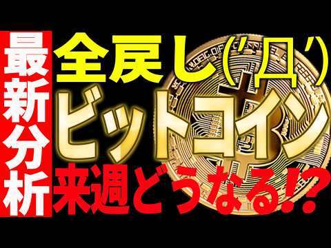 ⚠️ビットコイン全戻し⚠️来週このまま続落⁉それとも反転上昇⁉【仮想通貨】 サムネイル