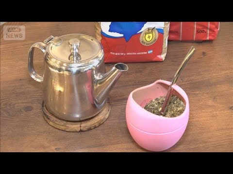 南米原産「マテ茶」人気じわり　前ローマ教皇、メッシも愛飲「リラックスしたい人に」【グッド！モーニング】(2026年6月… サムネイル