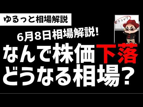 【6月8日ゆるっと相場解説】日経平均株価は大幅下落！？なんで下落している？今後の相場は？ズボラ株投資 サムネイル