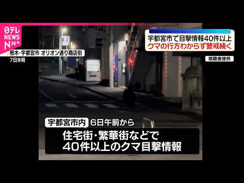 【クマの目撃情報40件以上】行方わからず警戒続く  栃木・宇都宮市 サムネイル