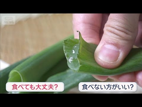 ネギの“透明ネバネバ”正体は　食べて大丈夫？それとも…？【スーパーJチャンネル】(2026年1月29日) サムネイル