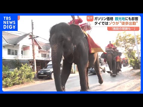 タイ観光地ではゾウが“徒歩出勤” 航空運賃などの高騰で旅行客が大幅減の予想も… イラン情勢受け世界中でガソリン高騰｜T…