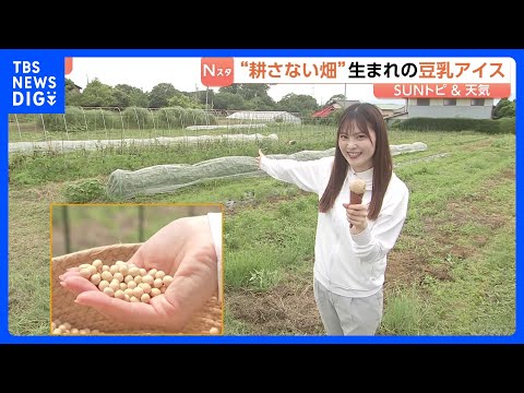 畑なのに“耕さない”？ 地球に優しい「不耕起栽培」実践の農園を取材　二酸化炭素を土の中に留める効果　収穫された大豆でア… サムネイル