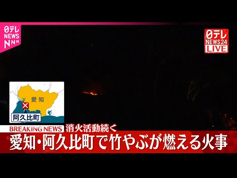 【速報】愛知・阿久比町で竹やぶ燃える火事…消火活動続く サムネイル