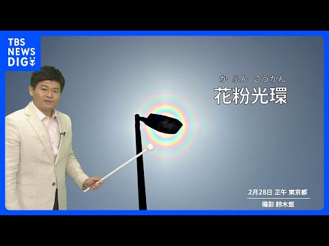 【きょうの天気】3月は青空スタート　東京マラソンも天気の崩れなし　西～東日本の花粉はピークへ突入｜TBS NEWS D… サムネイル