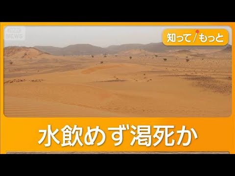 サハラ砂漠で道に迷ったトラック故障、49人死亡　水飲めず渇死か　2人は徒歩で町に【知っておきたい！】【グッド！モーニン… サムネイル