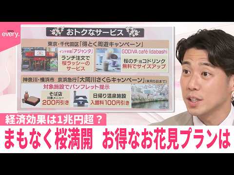 【なるほどッ！】まもなく桜満開  お得なお花見プランは  経済効果は1兆円超？