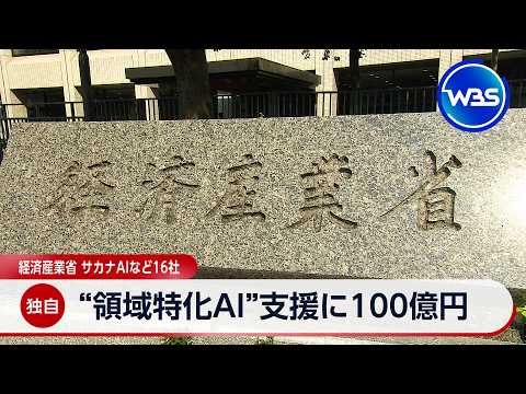 【独自】“領域特化AI”支援に100億円 経済産業省　サカナAIなど16社【WBS】 サムネイル