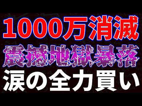 1000万円消滅！震撼地獄暴落。涙の全力買い サムネイル