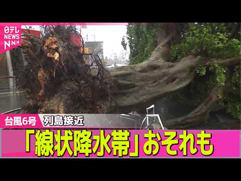 【台風6号接近】沖縄直撃、倒木や停電など被害相次ぐ　このあと「暴風域」伴い本州接近へ ── ニュースライブ（日テレNE… サムネイル
