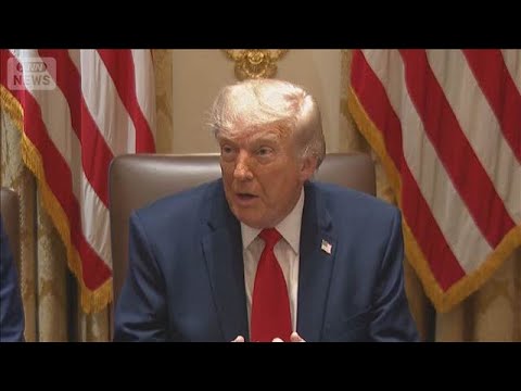 イスラエルとヒズボラ攻撃停止か　トランプ氏「互いに攻撃はない」(2026年6月2日) サムネイル