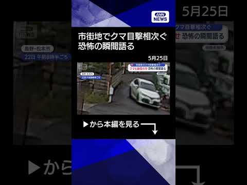 【ニュース】市街地でクマ目撃相次ぐ　クマと鉢合わせ　恐怖の瞬間語る　長野 shorts サムネイル