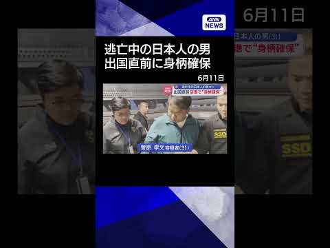 【ニュース】逃亡中の日本人の男（31）出国直前　空港で“身柄確保” shorts サムネイル