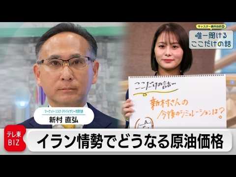 「イラン情勢でどうなる原油価格 金融政策への影響は」　新村直弘（マーケット・リスク・アドバイザリー共同代表）【藤井由依… サムネイル