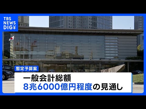 暫定予算案 一般会計総額は8.6兆円規模に　年度内成立のメドたたず｜TBS NEWS DIG