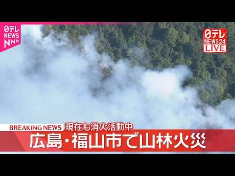 【速報】山林火災発生、消火活動続く  広島・福山市 サムネイル