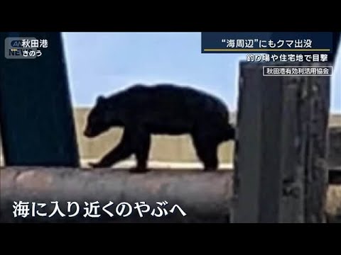 専門家「川のまわりが隠れ場に」住宅地や釣り場で目撃…“海周辺”にもクマ出没【報道ステーション】(2026年4月30日) サムネイル
