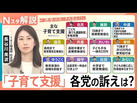“独身税”と揶揄も…最大月550円超の「支援金」は実質負担増？衆議院選挙「子育て支援」各党の公約を比較【Nスタ解説】｜… サムネイル