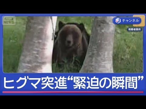 子グマが住みついた？市街地で目撃5倍なぜ【スーパーJチャンネル】(2026年5月27日) サムネイル