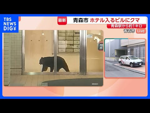 青森市中心街にクマ ホテルが入るビルに出没　現場には規制線… 猟友会が周囲を警戒も　警察や市が対応にあたる｜TBS N… サムネイル