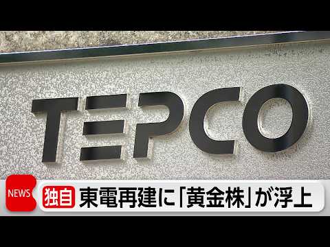 東京電力の経営再建計画に「黄金株」浮上 政府に拒否権 サムネイル