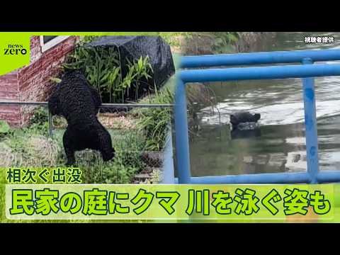 【緊迫】宇都宮の住宅街で“クマ包囲”作戦　1頭捕獲も…「前代未聞」複数頭か